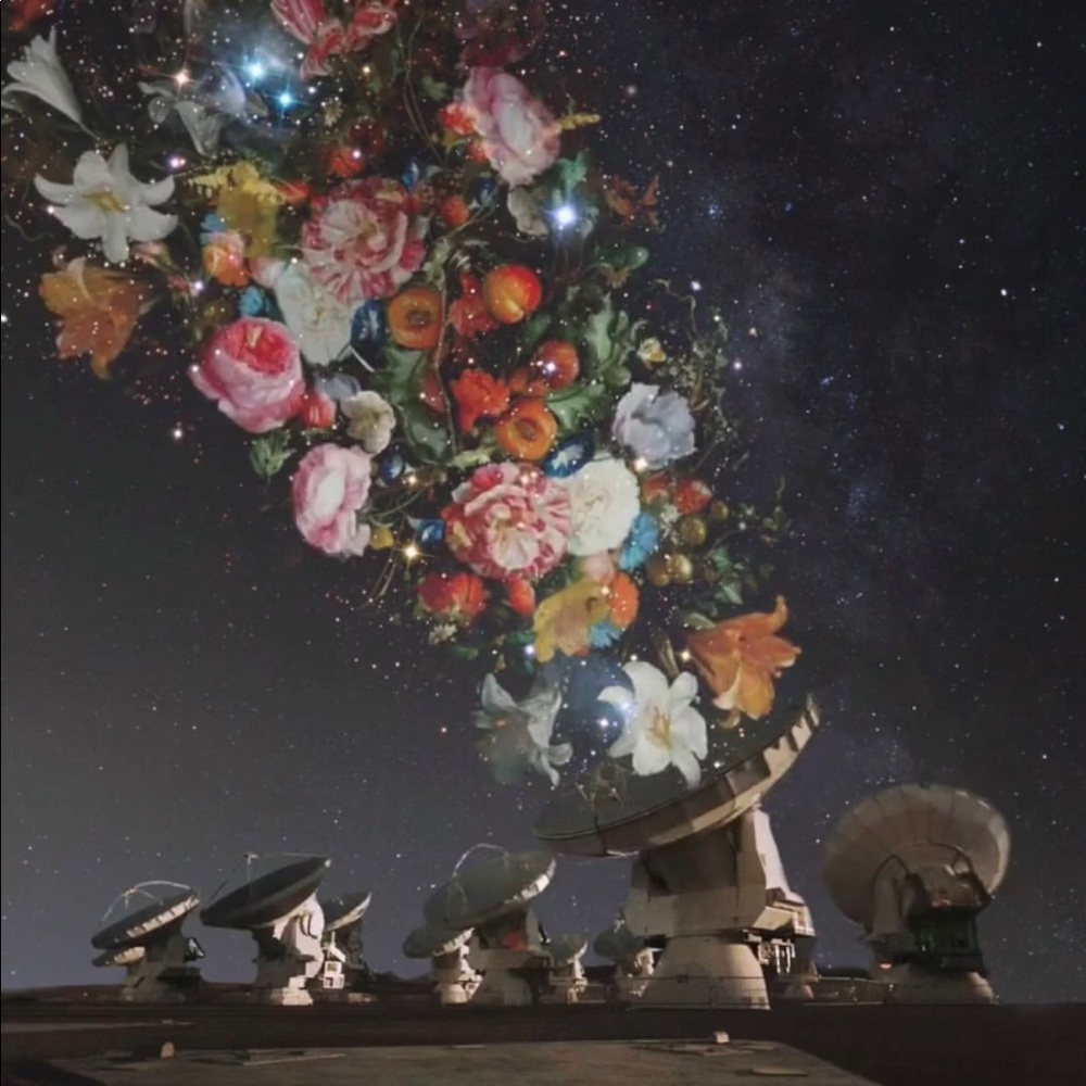 Meet your Posh Ambassador 2